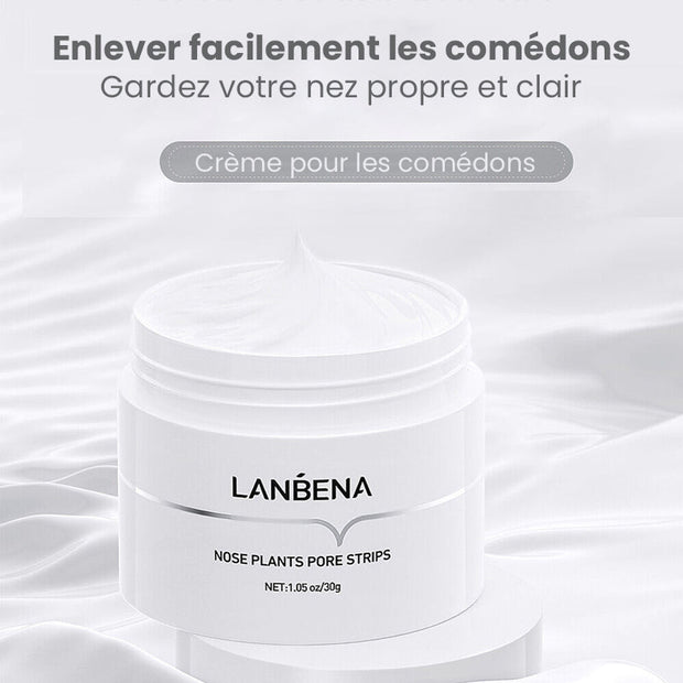 Masque pour comédons du nez